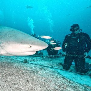 Meet your Posher, Geary